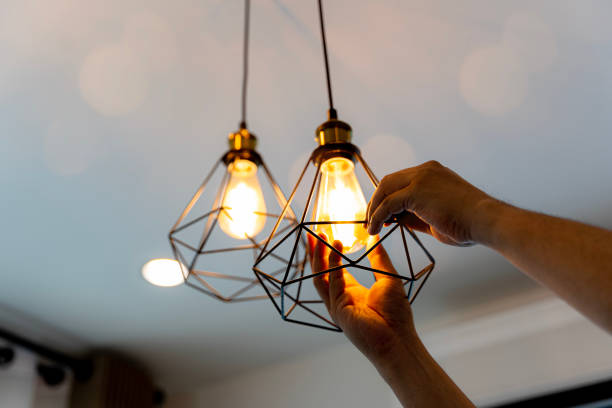 Best Electric Panel Repair  in Fulda, MN